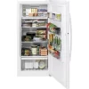 GE Freezer Frost-Free Upright - Image 3